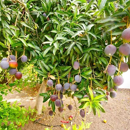 Gerardo Miramar Dom wakacyjny *