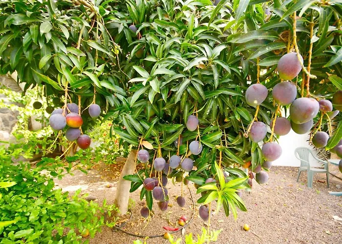 Gerardo Miramar 펜션 *